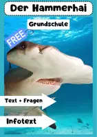 Vorschau - Arbeitsblätter - Hammerhai: Einzigartige Jäger der Meere - Deckblatt