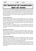Vorschau - Arbeitsblätter - Hammerhai: Einzigartige Jäger der Meere - Seite 1