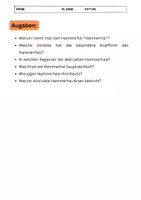 Vorschau - Arbeitsblätter - Hammerhai: Einzigartige Jäger der Meere - Seite 3