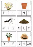 Aperçu - Apprentissages en autonomie - Cartes à pince : phonologie (printemps) - Page 2