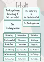 Vorschau - Präsentationen/Tafelbilder - Tafelbild: Teichsymbiose: Teichmuschel & Bitterling - Seite 1