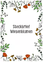 Vorschau - Arbeitsblätter - Wiesenblumen - Deckblatt
