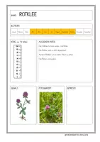 Vorschau - Arbeitsblätter - Wiesenblumen - Seite 2
