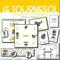 Aperçu - Affichage - Cycle de vie du tournesol - Version simplifiée - Page de couverture
