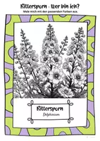 Vorschau - Mal- und Bastelvorlagen - Ausmalbilder Rittersporn | Delphinium - Seite 1