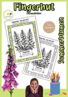 Vorschau - Mal- und Bastelvorlagen - Ausmalbilder Fingerhut | Digitalis purpurea - Deckblatt