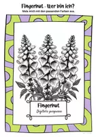 Vorschau - Mal- und Bastelvorlagen - Ausmalbilder Fingerhut | Digitalis purpurea - Seite 1