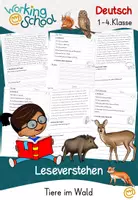 Vorschau - Unterrichtsreihen - Wald Grundschule | Materialpaket Sachunterricht | Waldtiere | Natur | Klasse 1–4 - Seite 1