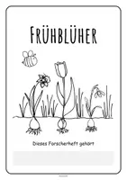 Vorschau - Stundenentwürfe - Frühblüher - Forscherheft - Seite 2