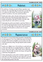 Vorschau - Bildkarten - Axolotl - Knowledge card index - Animals (English) - Seite 1