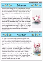 Vorschau - Bildkarten - Axolotl - Knowledge card index - Animals (English) - Seite 2