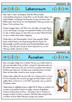 Vorschau - Arbeitsblätter - Bär MEGABUNDLE - Wissenskartei, Lückentext, Steckbrief, Suchsel - Seite 2