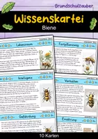 Vorschau - Arbeitsblätter - Biene MEGABUNDLE - Wissenskartei, Lückentext, Steckbrief, Suchsel - Seite 1