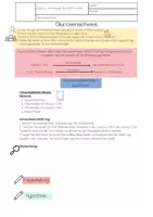 Vorschau - Arbeitsblätter - Versuch zur Substratspezifität von Enzymen - Seite 2