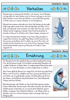 Vorschau - Bildkarten - Blauwal - Wissenskartei - Tiere - Seite 2