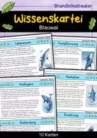 Vorschau - Bildkarten - Blauwal - Wissenskartei - Tiere - Deckblatt