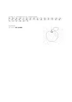 Vorschau - Arbeitsblätter - Zahlendiktat 1-100 Französisch / Dictée de chiffres FLE (facile) - Seite 1