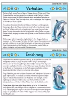 Vorschau - Arbeitsblätter - Delfin MEGABUNDLE - Wissenskartei, Lückentext, Steckbrief, Suchsel - Seite 3