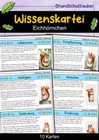 Vorschau - Arbeitsblätter - Eichhörnchen MEGABUNDLE - Wissenskartei, Lückentext, Steckbrief, Suchsel - Seite 1
