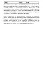 Vorschau - Arbeitsblätter - Semikonservative DNA-Replikation: Mechanismus, Enzyme, und Fehlerkorrektur - Seite 2