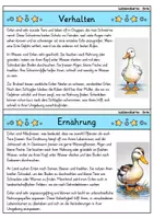 Vorschau - Spiele - Ente MEGABUNDLE - Wissenskartei, Lückentext, Steckbrief, Suchsel - Seite 3