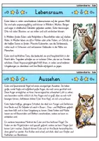 Vorschau - Arbeitsblätter - Eule MEGABUNDLE - Wissenskartei, Lückentext, Steckbrief, Suchsel - Seite 2