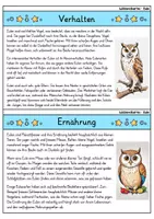 Vorschau - Arbeitsblätter - Eule MEGABUNDLE - Wissenskartei, Lückentext, Steckbrief, Suchsel - Seite 3