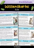 Vorschau - Arbeitsblätter - Eule MEGABUNDLE - Wissenskartei, Lückentext, Steckbrief, Suchsel - Seite 1