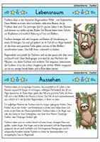 Vorschau - Bildkarten - Faultier - Wissenskartei - Tiere - Seite 1