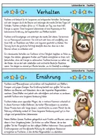 Vorschau - Bildkarten - Faultier - Wissenskartei - Tiere - Seite 2