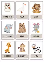 anteprima - Flashcard - FLASH CARDS - ANIMALS | FLASH CARDS - ANIMALI - Pagina 3