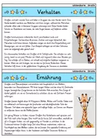 Vorschau - Bildkarten - Giraffe - Wissenskartei - Tiere - Seite 2