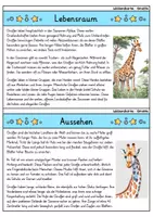 Vorschau - Bildkarten - Giraffe - Wissenskartei - Tiere - Seite 1