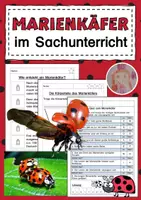 Vorschau - Arbeitsblätter - Marienkäfer - Deckblatt