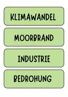 Vorschau - Poster - Ökosystem Moor - Tafelkarten mit Begriffen für Tafelbilder und Diskussion - Seite 1