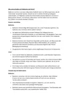 Vorschau - Arbeitsblätter - Wie unterscheiden sich Bakterien und Viren? - Seite 1
