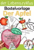 Vorschau - Arbeitsblätter - Der Apfel - Bastelvorlage - Lebenszyklus des Apfels - Deckblatt