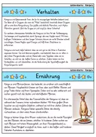 Vorschau - Bildkarten - Känguru - Wissenskartei - Tiere - Seite 2