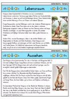 Vorschau - Bildkarten - Känguru - Wissenskartei - Tiere - Seite 1