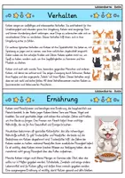 Vorschau - Arbeitsblätter - Katze MEGABUNDLE - Wissenskartei, Lückentext, Steckbrief, Suchsel - Seite 3
