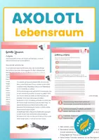Vorschau - Arbeitsblätter - Axolotl im Sachunterricht Lebensraum - Deckblatt