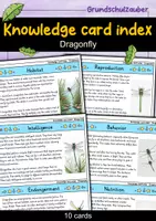 Vorschau - Bildkarten - Dragonfly - Knowledge card index - Animals (English) - Deckblatt