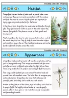 Vorschau - Bildkarten - Dragonfly - Knowledge card index - Animals (English) - Seite 1