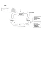 Vorschau - Arbeitsblätter - Arbeitsblatt zur „Regulation des Blutzuckerspiegels“ - Seite 3