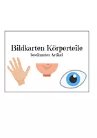 Vorschau - Bildkarten - bestimmter Artikel Körper Bildkarten/ Klammerkarten - Deckblatt