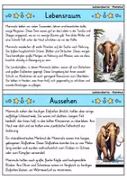 Vorschau - Bildkarten - Mammut - Wissenskartei - Tiere - Seite 1