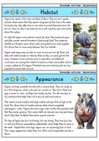 Vorschau - Bildkarten - Knowledge card index - 70 different animals - Material package (English) - Seite 2