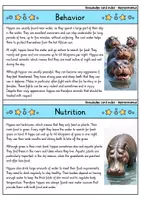Vorschau - Bildkarten - Knowledge card index - 70 different animals - Material package (English) - Seite 3