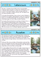 Vorschau - Bildkarten - Otter - Wissenskartei - Tiere - Seite 1
