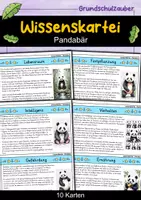 Vorschau - Arbeitsblätter - Panda MEGABUNDLE - Wissenskartei, Lückentext, Steckbrief, Suchsel - Seite 1